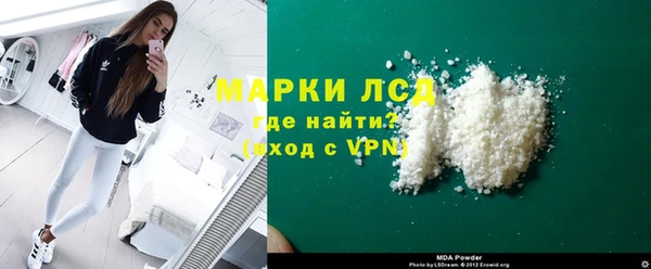 молекула духа Богданович