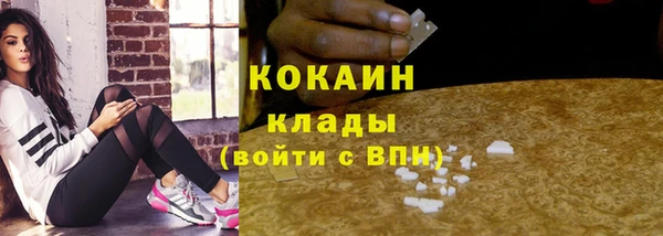 соль ск Белокуриха