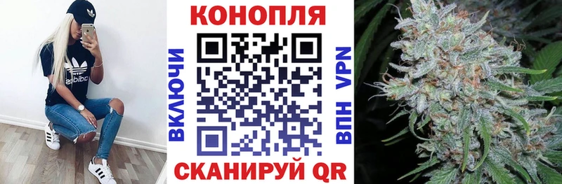 Каннабис планчик  Купить где  Курлово 